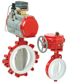 Bray PTFE-Lined Butterfly Valve